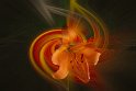 Ans Spierings 4
