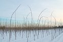 Kees de Bruijn 12 sneeuw ritme