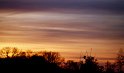 _MG_7858